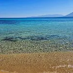 Le Di Ciccine' باغيريا